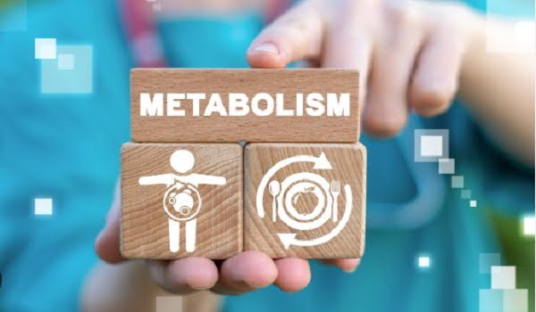 Way to a Faster Metabolism